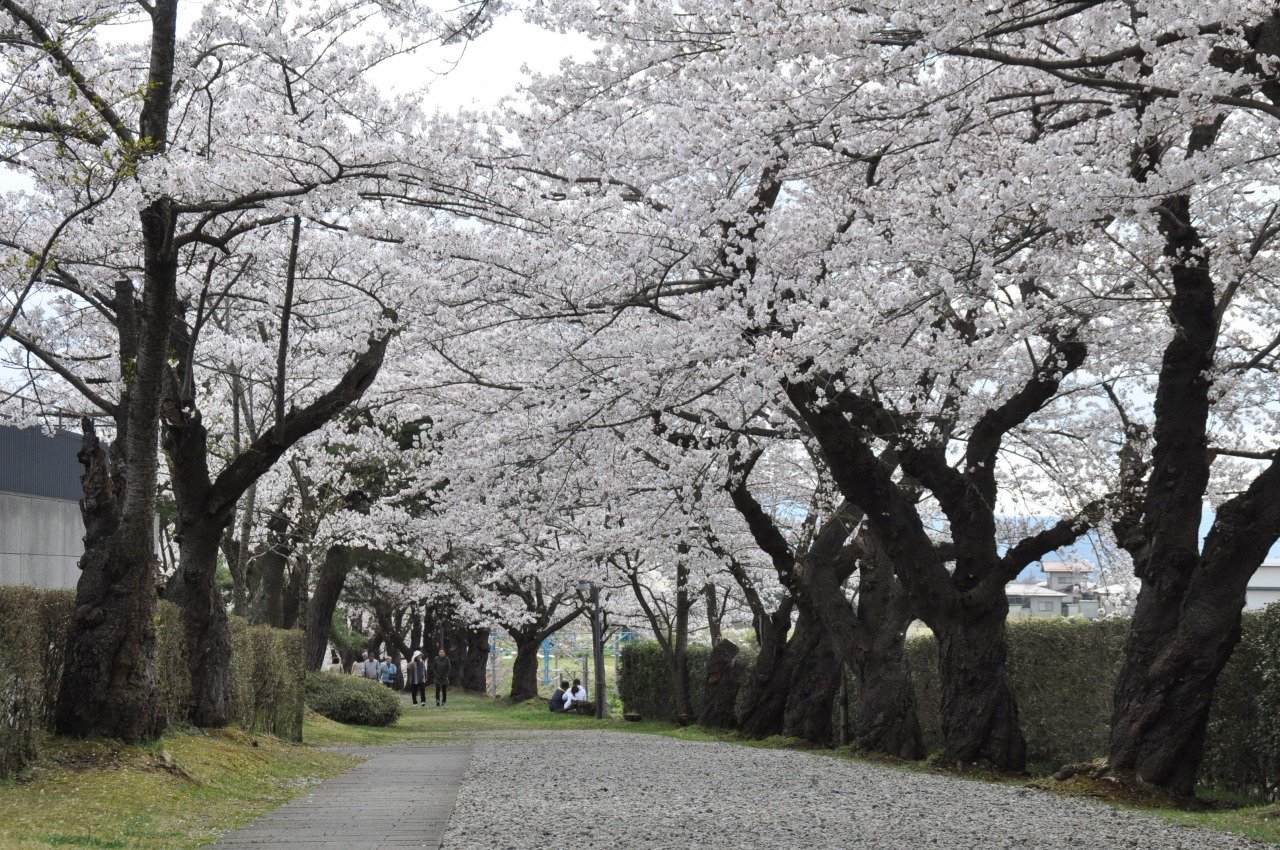 🏞️ 미유키 공원 (幸公園) 이미지 4